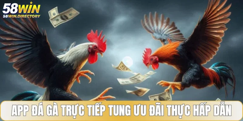 App đá gà trực tiếp tung ưu đãi thực hấp dẫn