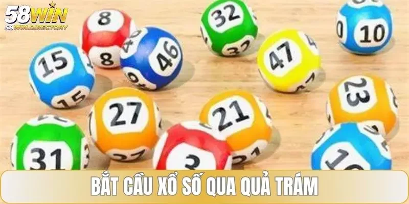 Bắt cầu xổ số qua quả trám
