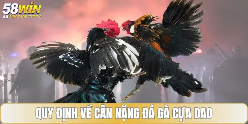 Chi tiết về luật chơi dựa vào cân nặng có thể bạn chưa biết