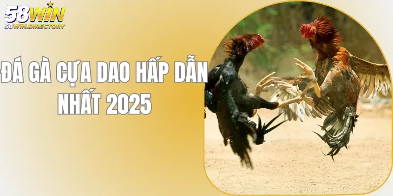 Đá Gà Cựa Dao 58WIN - Giải Trí Bùng Nổ Trong Năm 2025