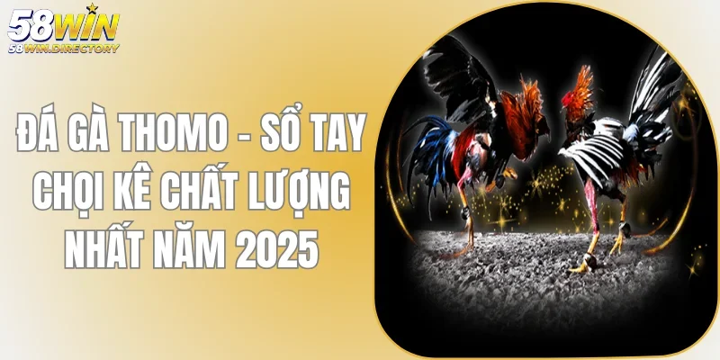 Đá Gà Thomo - Sổ Tay Chọi Kê Chất Lượng Nhất Năm 2025