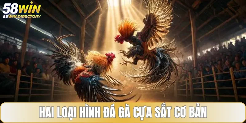 Hai loại hình đá gà cựa sắt đang được ưa chuộng