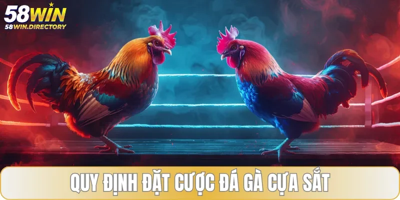 Quy định cơ bản về việc đặt cược kết quả trận đấu chọi kê