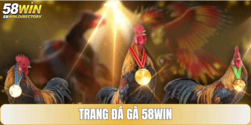 Trang đá gà uy tín đẳng nhấp nhất hiện nay 58WIN