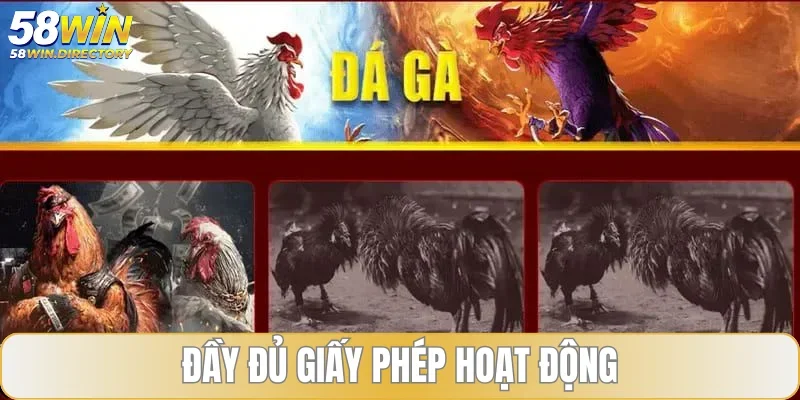 Trang đá gà uy tín phải đầy đủ giấy phép hoạt động