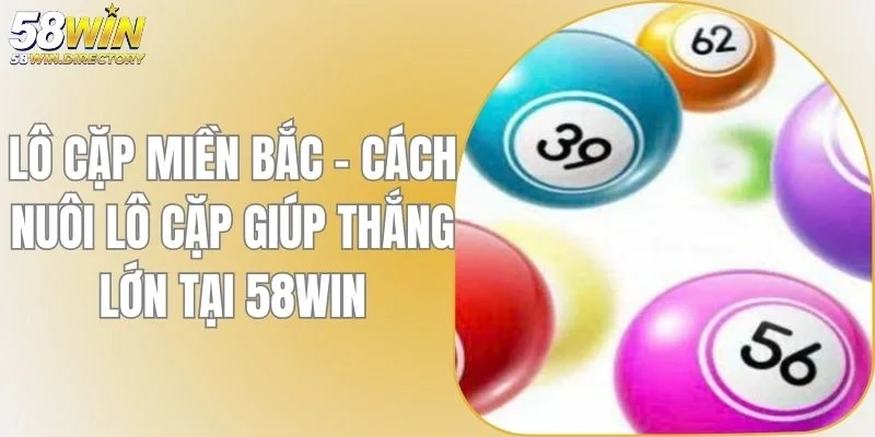 Lô Cặp Miền Bắc - Cách Nuôi Lô Cặp Giúp Thắng Lớn Tại 58WIN