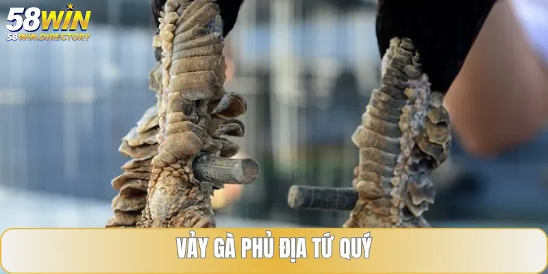 Dễ dàng nhận dạng đặc điểm tứ quý phủ địa ở kê