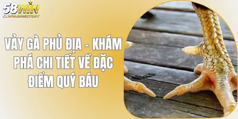 Vảy Gà Phủ Địa - Khám Phá Chi Tiết Về Đặc Điểm Quý Báu