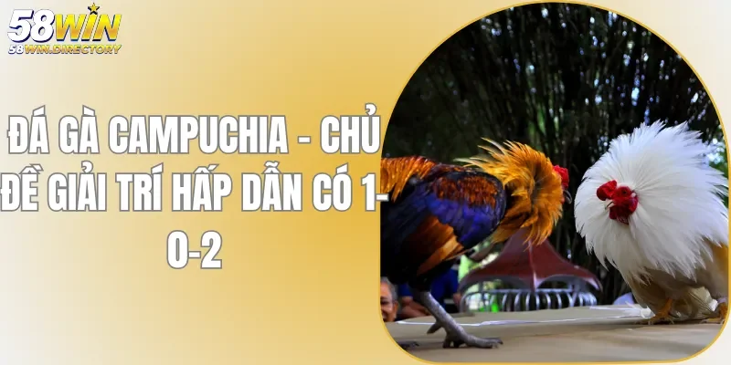 Đá Gà Campuchia - Chủ Đề Giải Trí Hấp Dẫn Có 1-0-2